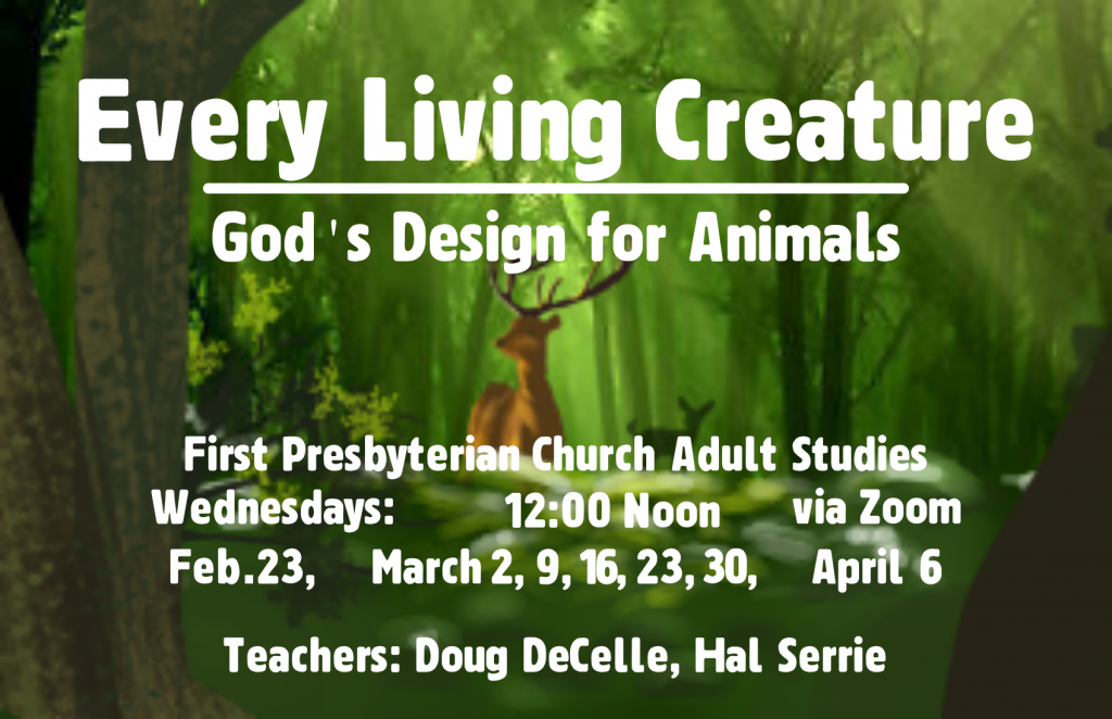 Every Living Creature: God's Design for Animals -
